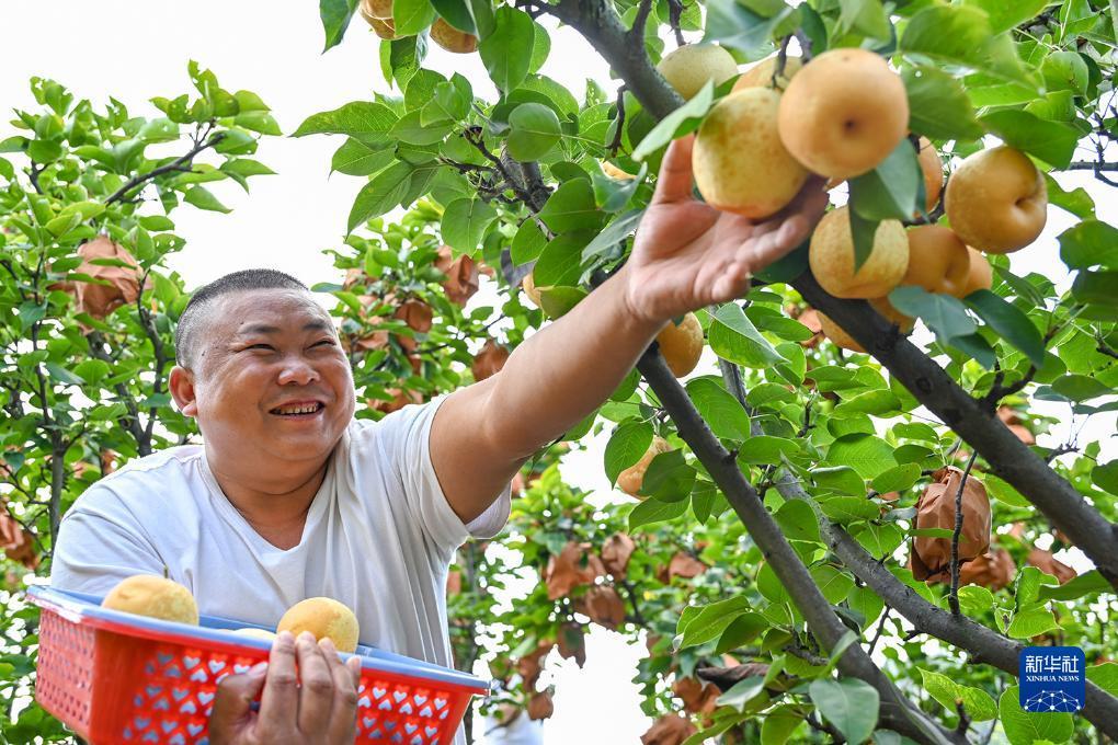 龙虎网注册